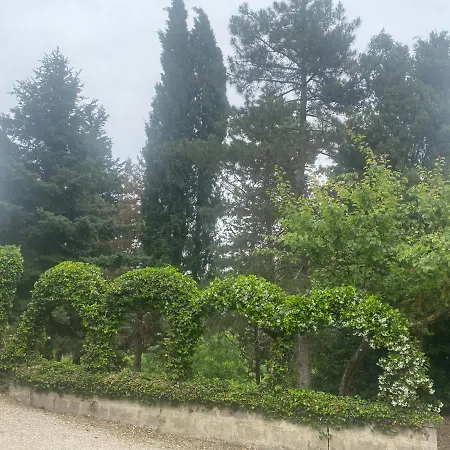 Oda ve Kahvaltı Zara