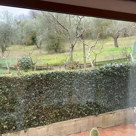 Zara Bed & Breakfast Siena