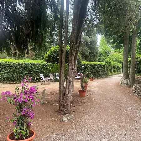 Oda ve Kahvaltı Zara Siena