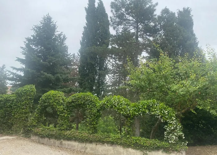 Oda ve Kahvaltı Zara